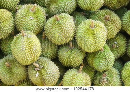 Durians king of fruits
