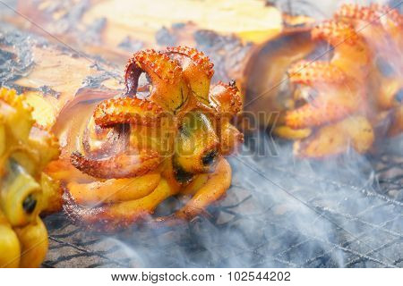 Cuttlefish grilled