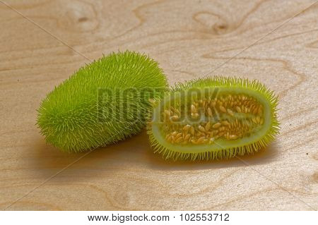 Decorative Cucumber Long Green Needles