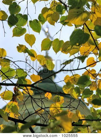 Herbst-Blatt-Cross-Tempel durchschaut ist