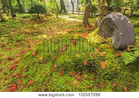 Superb View, Fall Color At Adashino Nenbutsu-ji, Japan In The Autumn