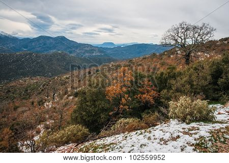 Winter Landscape In The Mountains Near Vassa, Greece