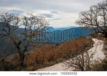 Winter Landscape In The Mountains Near Vassa, Greece