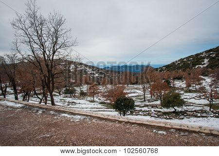 Winter Landscape In The Mountains Near Vassa, Greece