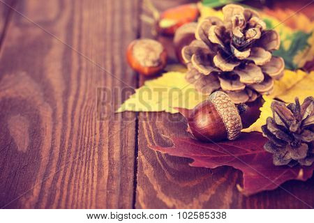 Autumnal still life with acorn pinecone and yellow leaves on wooden board. Illustration