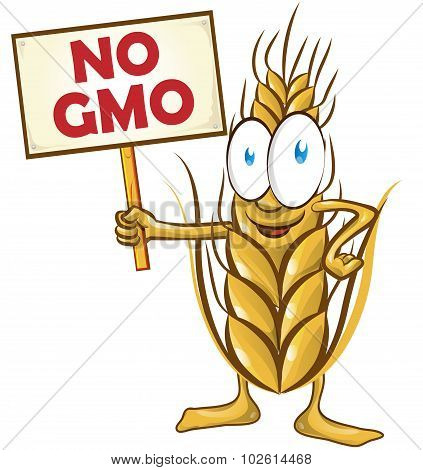 Wheat Cartoon With Signboard No Gmo Isolated On White  Background