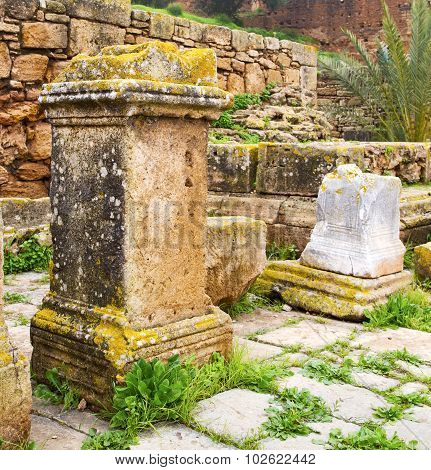 Chellah  In Morocco Africa The Old Roman Deteriorated Monument And Site