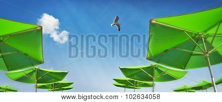 Parasols On The Beach