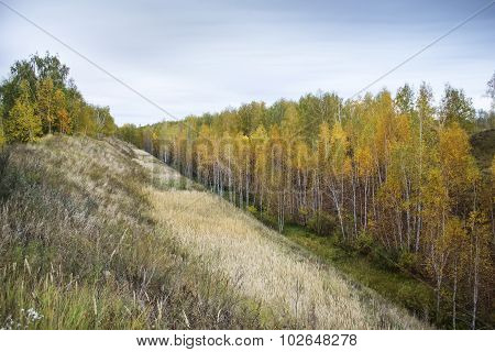 autumn landscape