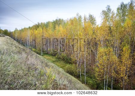 autumn landscape