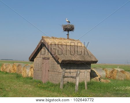 Reed house with stork's nest on the roof