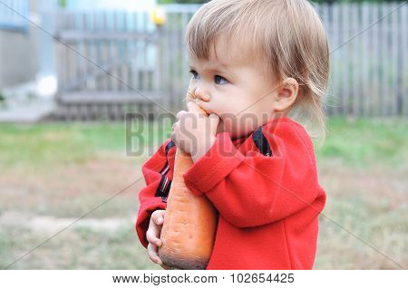 Child Scrunching Carrot Outdoor