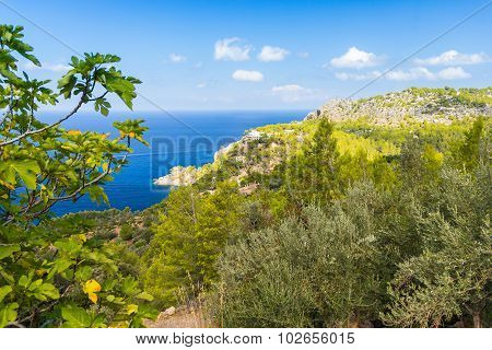 Beautiful View Of Sierra De Tramuntana, Mallorca, Spain