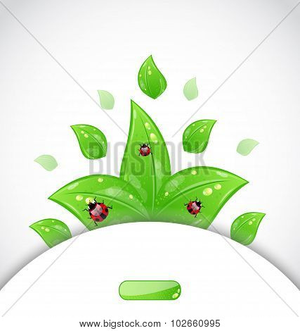 business brochure template with green leaves and ladybugs