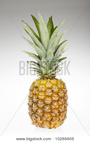 Ananas