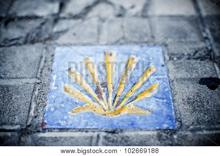 Santiago shell close up in Jaca, Huesca, Aragon, Spain.