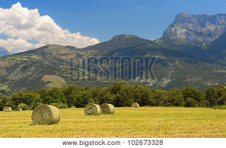 Landscape In Haute Provence