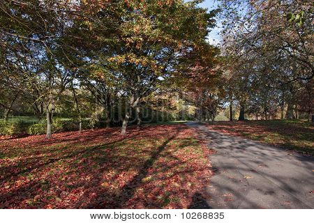 Parklandschaft