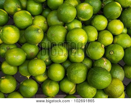 Green Lime