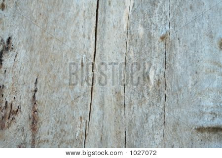 Hout
