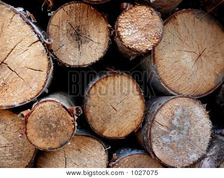 Brennholz