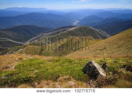 View From Mt Feathertop