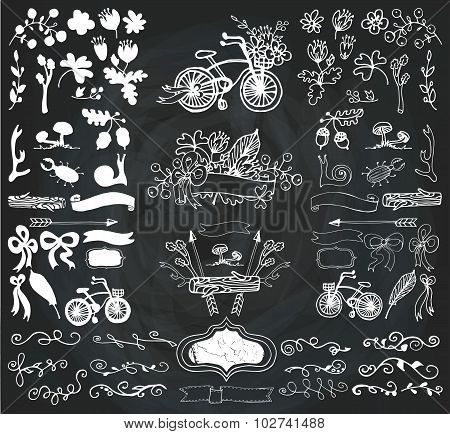 Doodle floral group.Rustic silhouette elements.Sketchy chalkboar