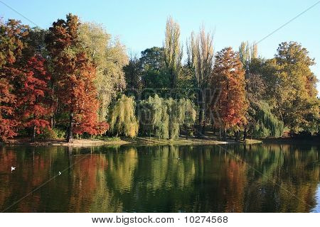 Landscape