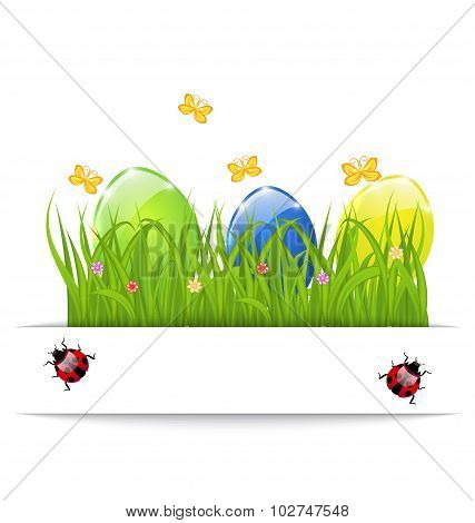 Easter colorful eggs in green grass with space for your text