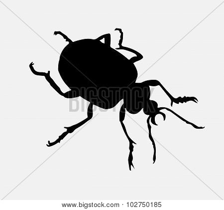 Bug's Silhouette.
