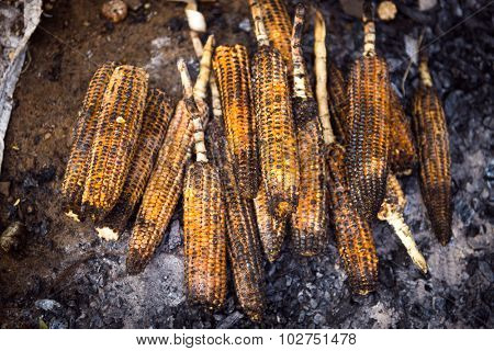 Organic, fresh corn cobs are roasted on a coal on roadside farmers stall. View from top.