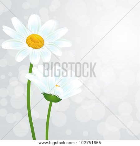 Nature background