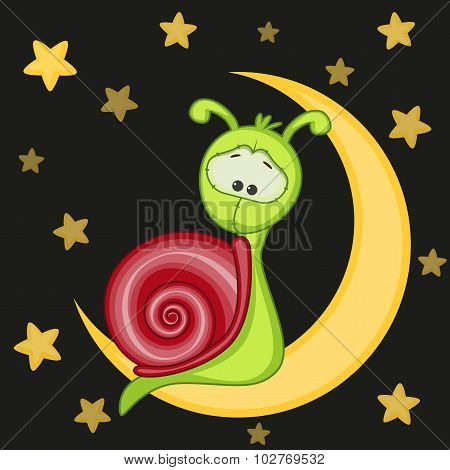 Snail