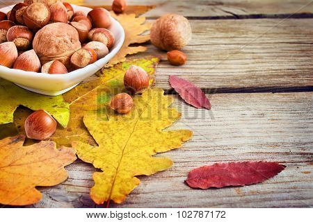 Bowl With Nuts On The Background And Autumn Leaves