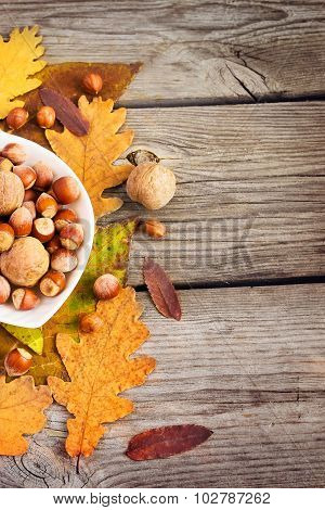 Hazelnuts And Walnuts In A Bowl On A Background Of Autumn Leaves