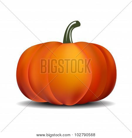Pumpkin Isolated On White. Realistic Vector Illustration.