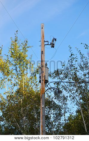 Power lines on electrical pole above ground with trees
