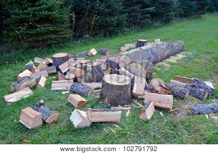 Cutting & Splitting Wood