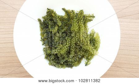 Sea Grape Seaweed, Uni Budou. Japanese Seaweed