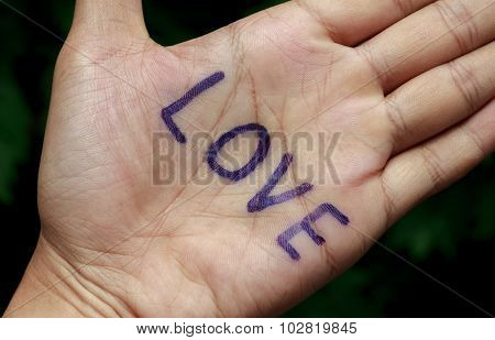 Text Love On Hand And Blur Tree Background.
