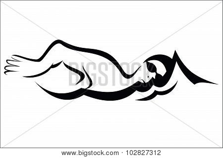 Swimmer