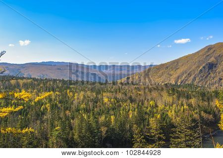 Far Eastern taiga.
