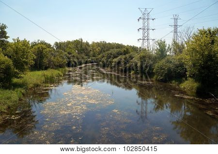 Lily Creek
