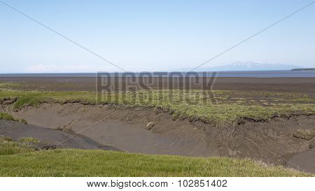 Mudflats and Mount Susitna