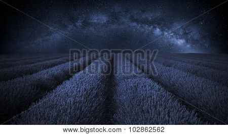 Stunning Lavender Field Landscape With Clear Milky Way Galaxy In Sky