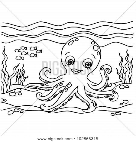 Octopus Coloring Pages vector