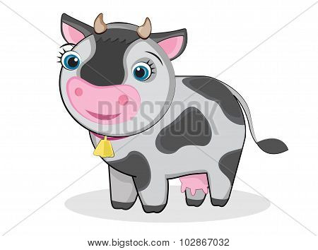 Cute cow