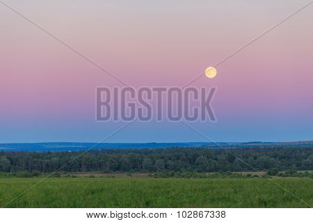 Moon over the field and forest summer night blue landsape