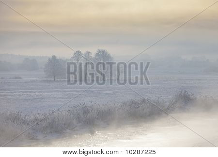 Vintermorgen