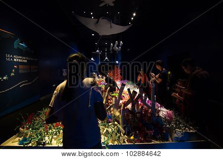 Resorts World Sentosa Singapore- August 10: People watching big aquarium in S.E.A Aquarium on August 10 2014.